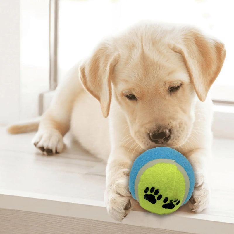 Kit de Brinquedos Interativos Estilo Bola de Tênis para Pets – 3 Unidades